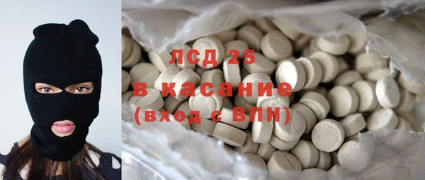 spice Верея
