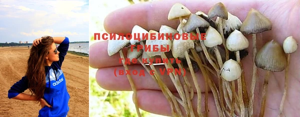 герыч Верхний Тагил