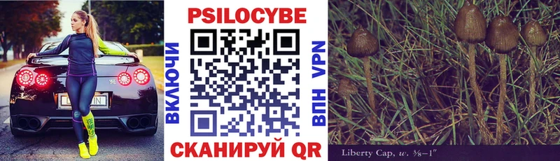 наркошоп  Новоржев  Галлюциногенные грибы мицелий 