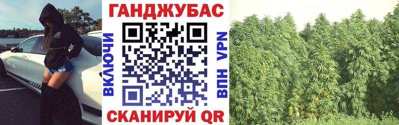 купить наркотики сайты  Новоржев  МАРИХУАНА планчик 